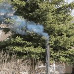 SmokeStack: Wood Burning Fire Metal Stack: Winter Maple Sap Evaporator Chimney